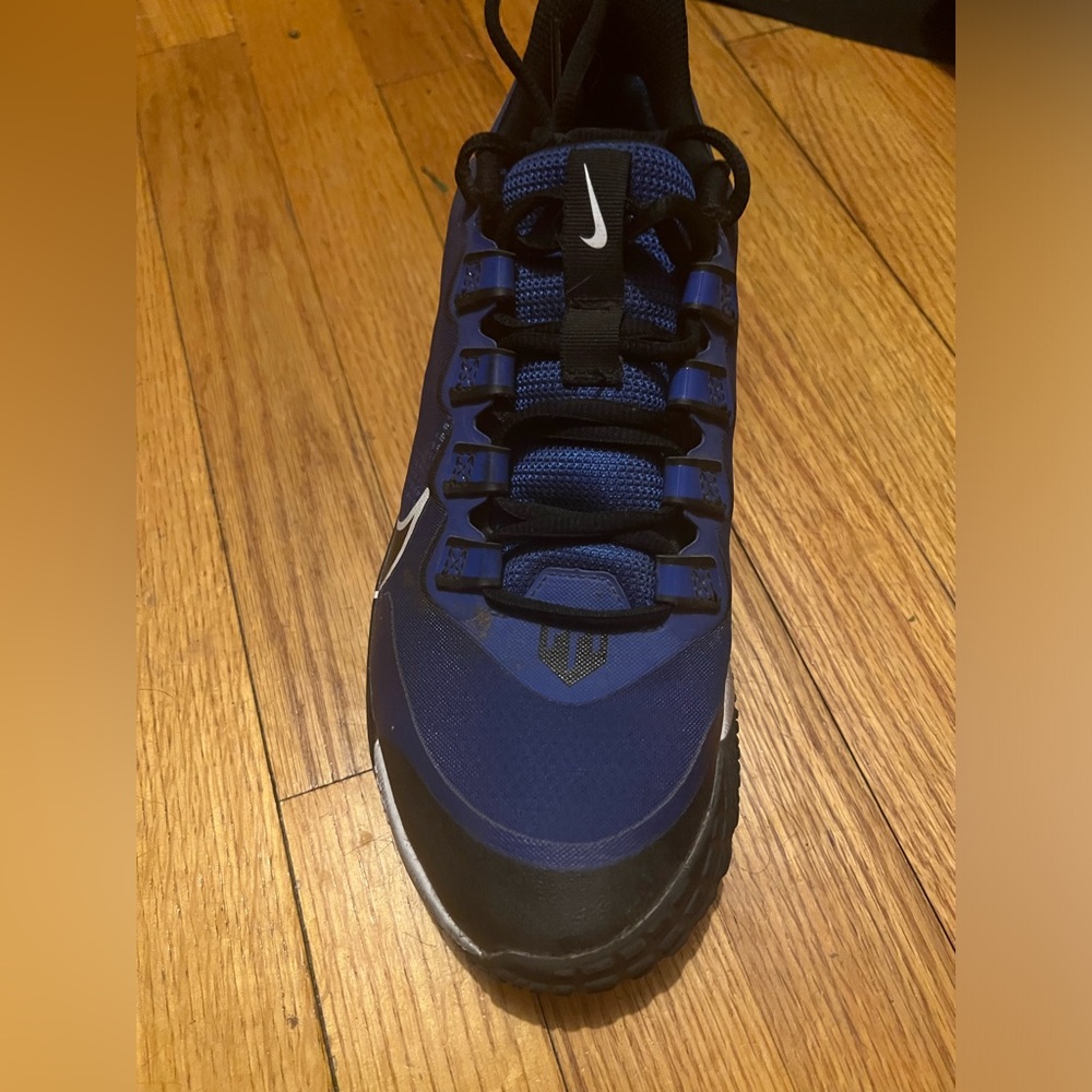 Nike Men’s Turf Baseball Shoe